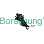 Borsehung Geberzylinder, Kupplung