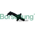 Borsehung Nehmerzylinder, Kupplung