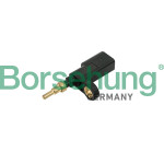 Borsehung Sensor, Kühlmitteltemperatur