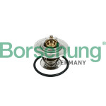 Borsehung Thermostat, Kühlmittel