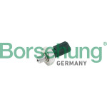 Borsehung Öldruckschalter