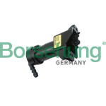 Borsehung Waschwasserdüse, Scheinwerferreinigung