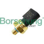 Borsehung Sensor, Kraftstoffdruck