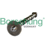 Borsehung Nockenwelle