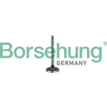 Borsehung Einlassventil
