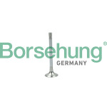 Borsehung Auslassventil