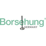 Borsehung Auslassventil
