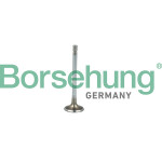Borsehung Einlassventil