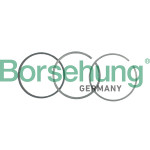 Borsehung Kolbenringsatz