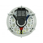 AS-PL Generator