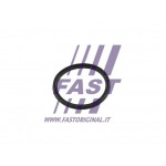 FAST Dichtring, Lader