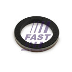 FAST Wellendichtring, Differential