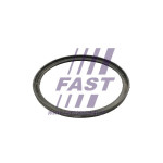 FAST Dichtring, Ladeluftschlauch