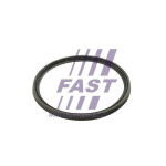 FAST Dichtring, Ladeluftschlauch
