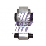 FAST Lagerung, Motor
