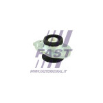 FAST Lagerung, Motor