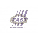 FAST Dichtung, Abgasrohr