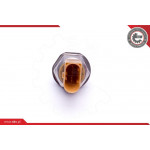 ESEN SKV Sensor, Kraftstoffdruck