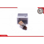 ESEN SKV Sensor, Kraftstoffdruck