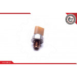 ESEN SKV Sensor, Kraftstoffdruck