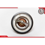ESEN SKV Thermostat, Kühlmittel