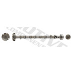 MOTIVE Nockenwelle