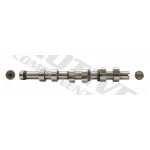 MOTIVE Nockenwelle