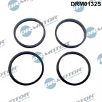 Dr.Motor Automotive Dichtungssatz, Ansaugkrümmer
