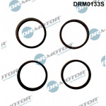 Dr.Motor Automotive Dichtungssatz, Ansaugkrümmer