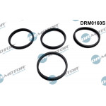Dr.Motor Automotive Dichtungssatz, Ansaugkrümmer