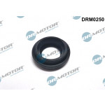 Dr.Motor Automotive Dichtung, Düsenhalter