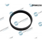 Dr.Motor Automotive Dichtung, Turbineneinlass (Lader)