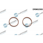 Dr.Motor Automotive Dichtungssatz, Ansaugkrümmer