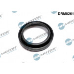 Dr.Motor Automotive Dichtung, Düsenhalter