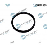 Dr.Motor Automotive Dichtungssatz, AGR-System