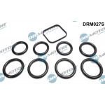 Dr.Motor Automotive Dichtungssatz, Ansaugkrümmer