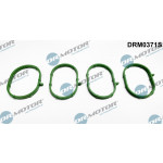Dr.Motor Automotive Dichtungssatz, Ansaugkrümmer