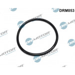 Dr.Motor Automotive Dichtung, Kraftstoffilter