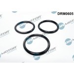 Dr.Motor Automotive Dichtung, Wasserpumpe