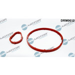 Dr.Motor Automotive Dichtungssatz, Unterdruckpumpe