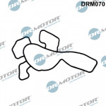 Dr.Motor Automotive Dichtung, Wasserpumpe