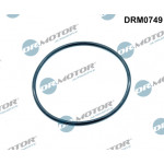 Dr.Motor Automotive Dichtung, Ansaugkrümmer