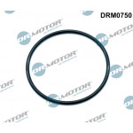 Dr.Motor Automotive Dichtung, Ansaugkrümmer