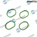 Dr.Motor Automotive Dichtungssatz, Ansaugkrümmer