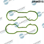 Dr.Motor Automotive Dichtungssatz, Ansaugkrümmer