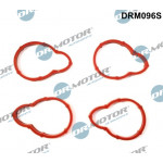 Dr.Motor Automotive Dichtungssatz, Ansaugkrümmer