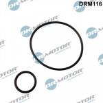Dr.Motor Automotive Dichtungssatz, Ansaugkrümmer