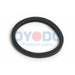 Oyodo Dichtung, Thermostat