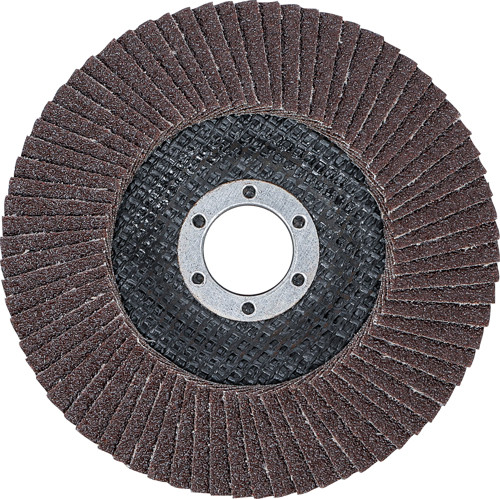 BGS Fächer-Schleif-Scheibe | Ø 125 mm | K 80