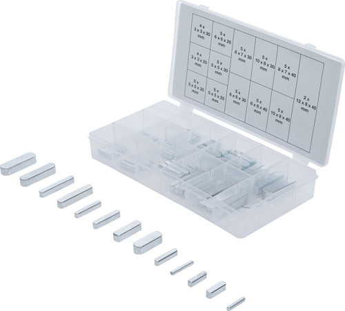 BGS Passfedern-Sortiment | 60-tlg.